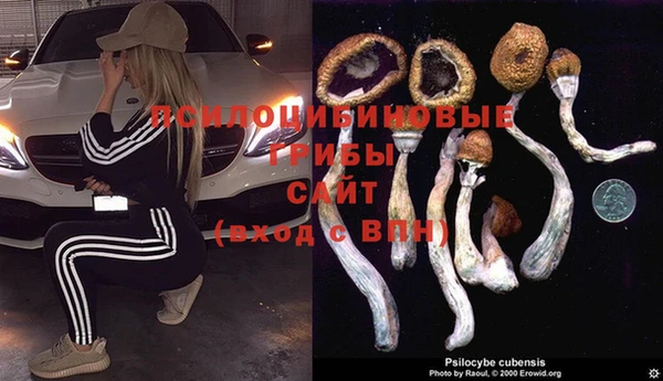 эйфоретик Алексин
