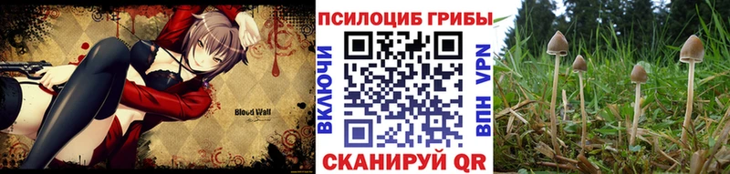 Галлюциногенные грибы Cubensis Нарткала