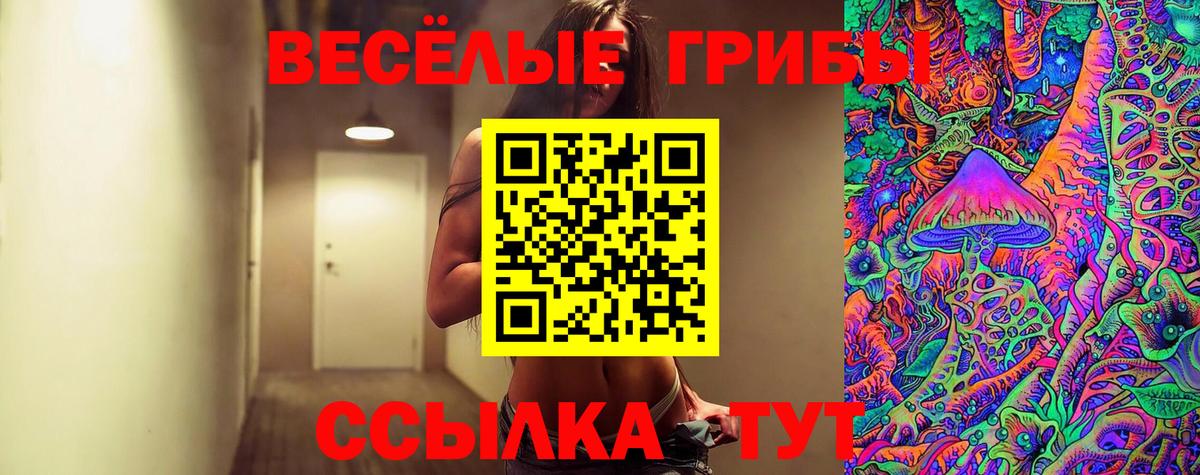 Codein  Каннабис  Нарткала  Меф МЯУ МЯУ   Кокаин  Вход с VPN  ГАШИШ  ГАШИШ 