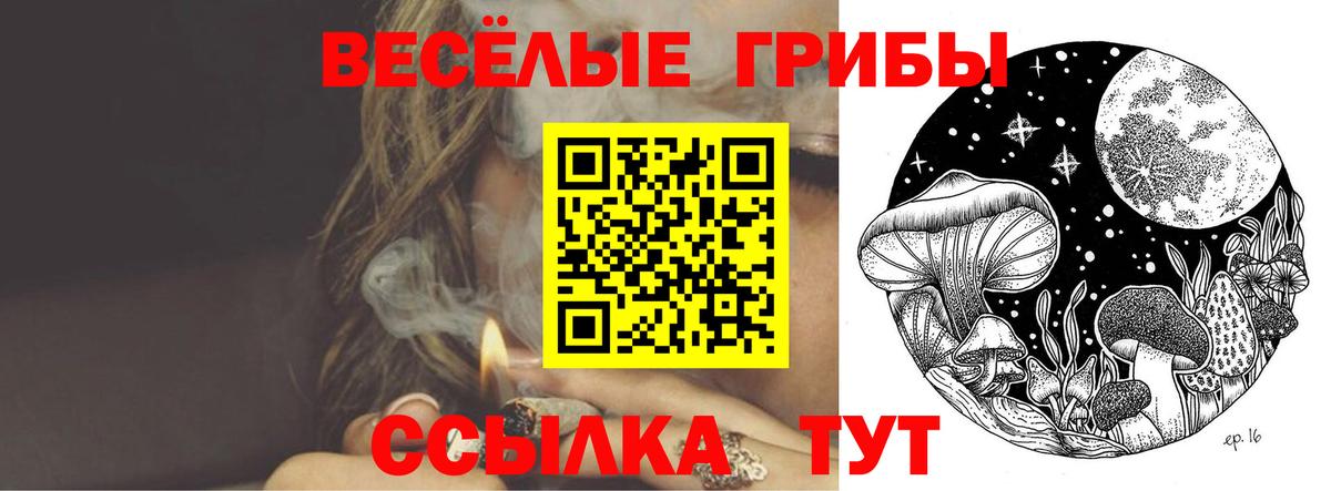 Галлюциногенные грибы мухоморы  Вход с VPN  Нарткала  Галлюциногенные грибы прущие грибы 